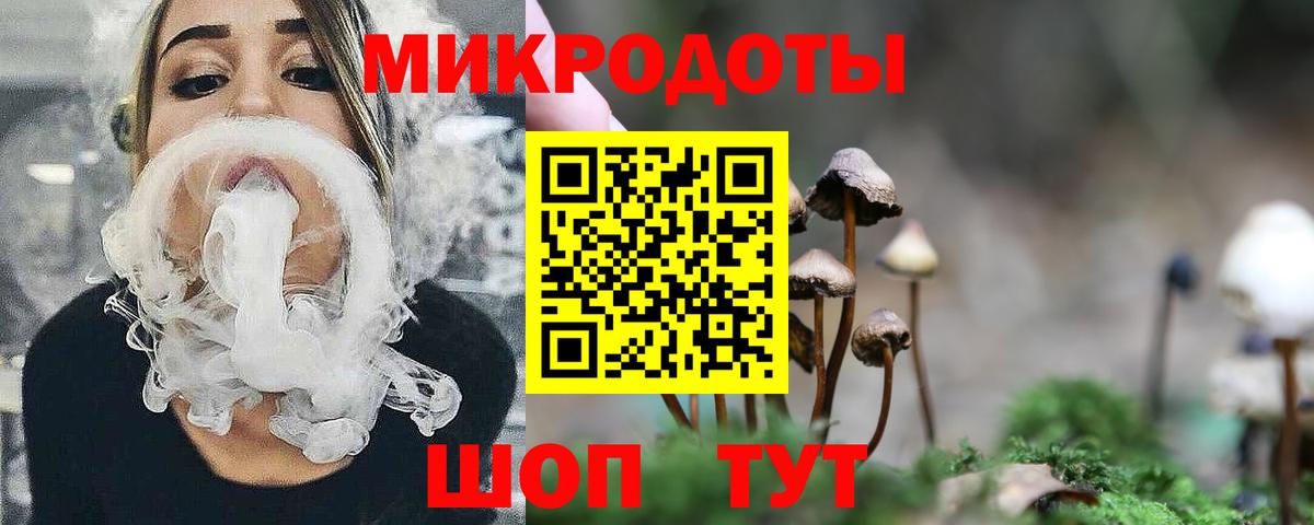 Галлюциногенные грибы Psilocybe Бийск